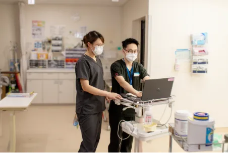 画像:診療看護の看護師がパソコンを見ている