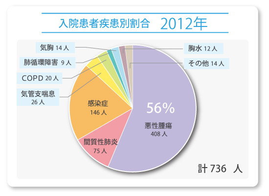 graph-nyuin-shikkan2012-1